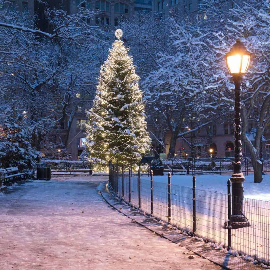 NYC snow