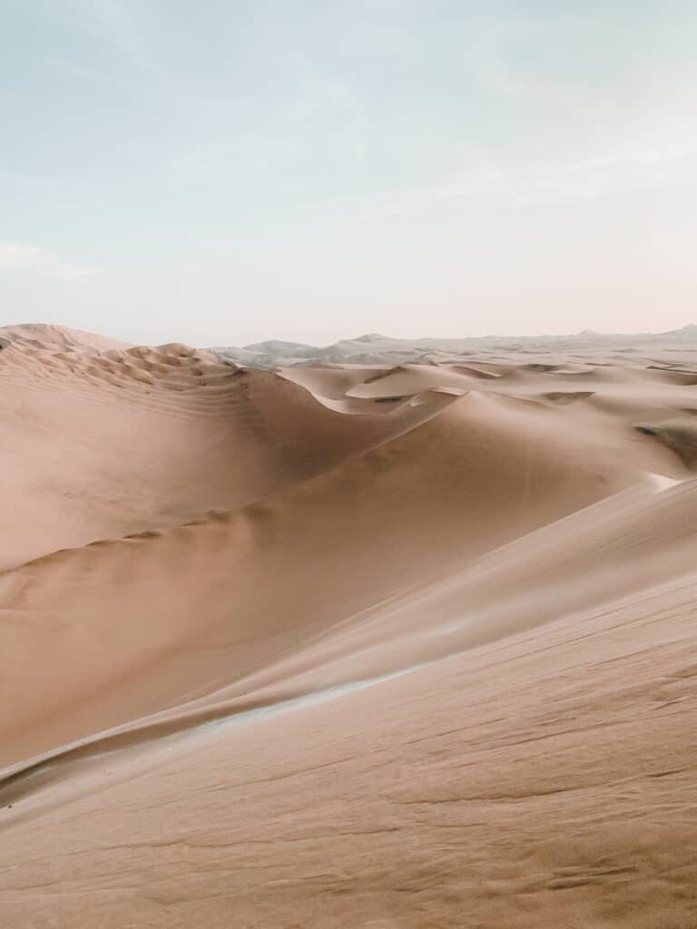 oasis in the desert