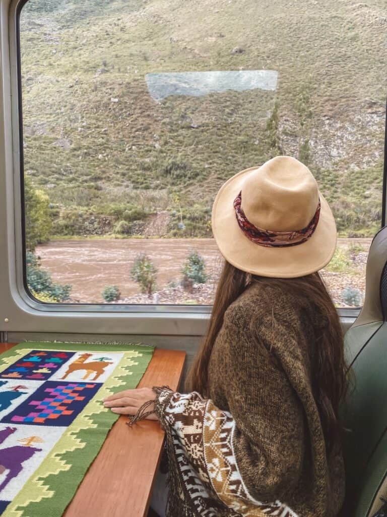 View of window inside the train to Machu Picchu