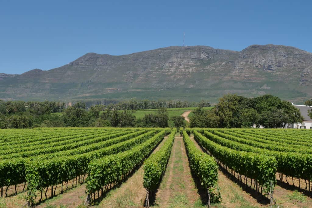 Constantia
