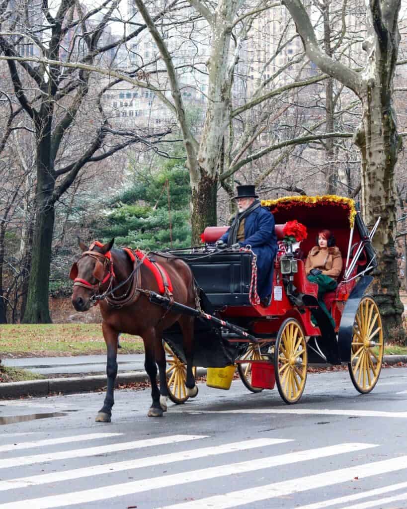 Christmas in New York