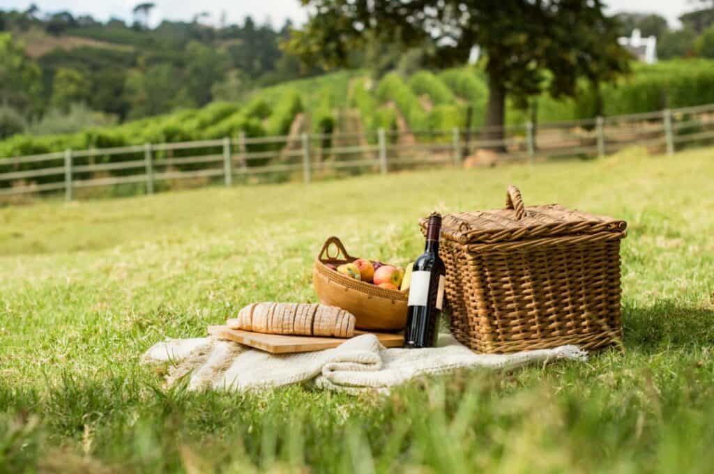 Have a picnic in the middle of the vineyards