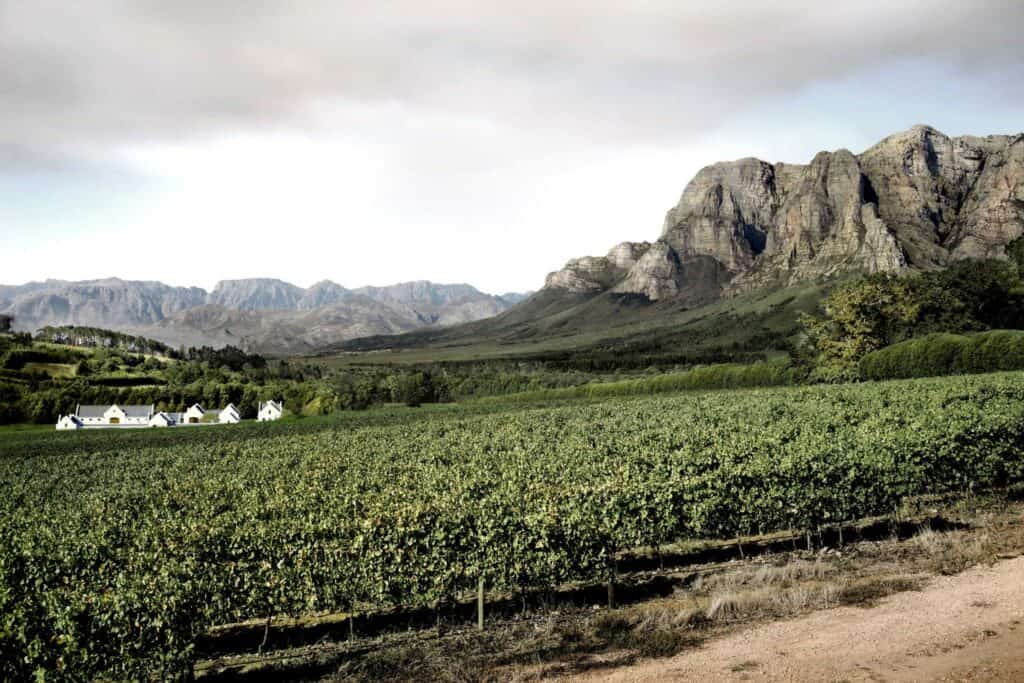 Stroll in Stellenbosh