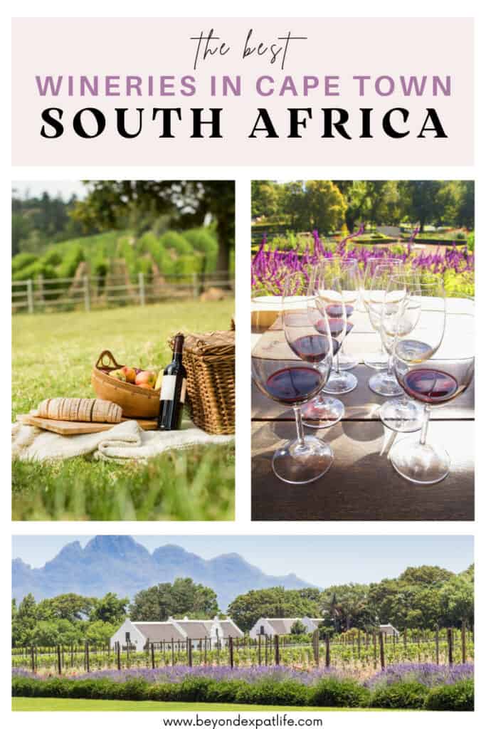 The best wineries in Cape Town South Africa