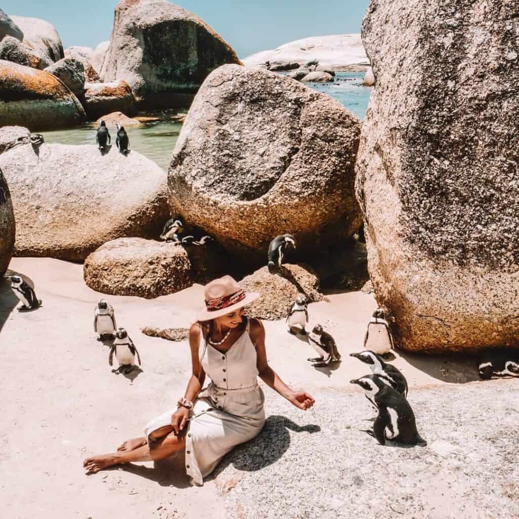 breathtaking Boulders Beach