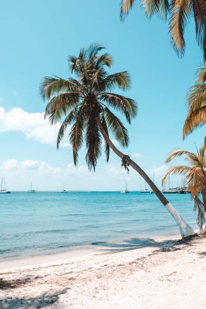 isla mujeres sand white beach
