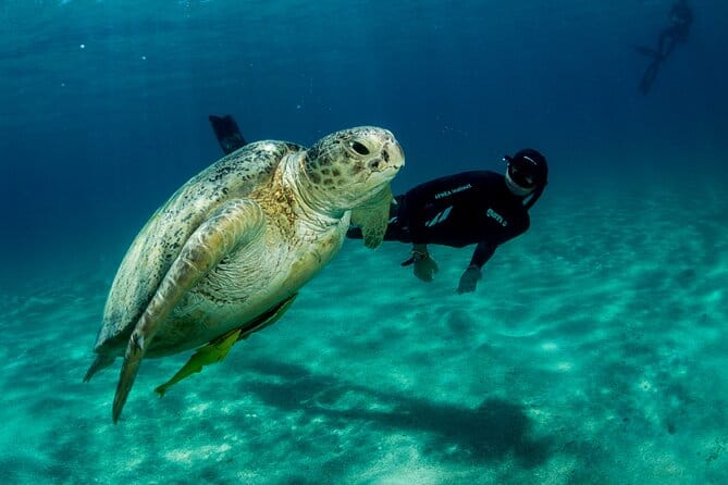 Isla Mujeres swim with turtles