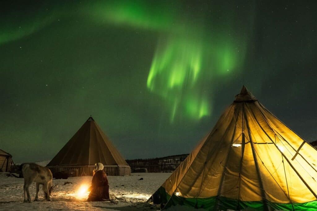 reindeer camp tromso