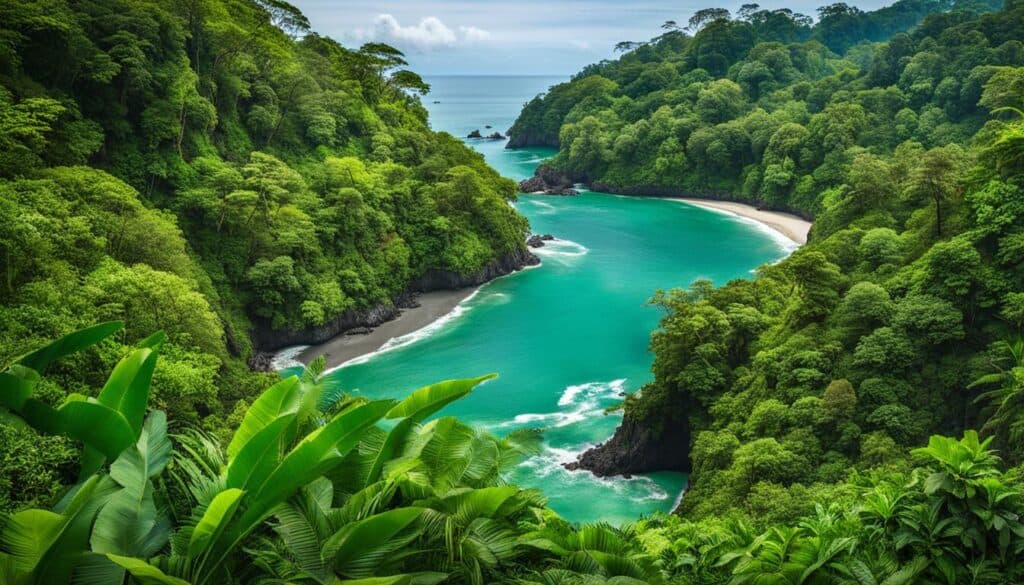 A lush tropical jungle with a winding river leading to a pristine beach in Manuel Antonio Costa Rica.