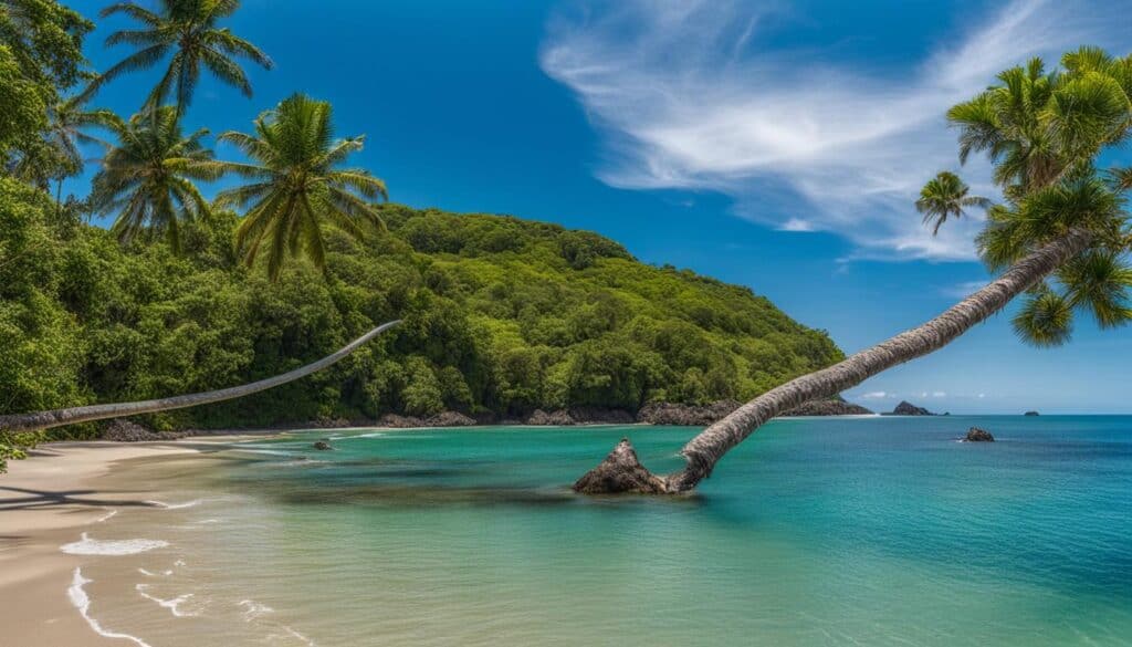 A serene beach with palm trees and clear blue water in Nicoya Peninsula.