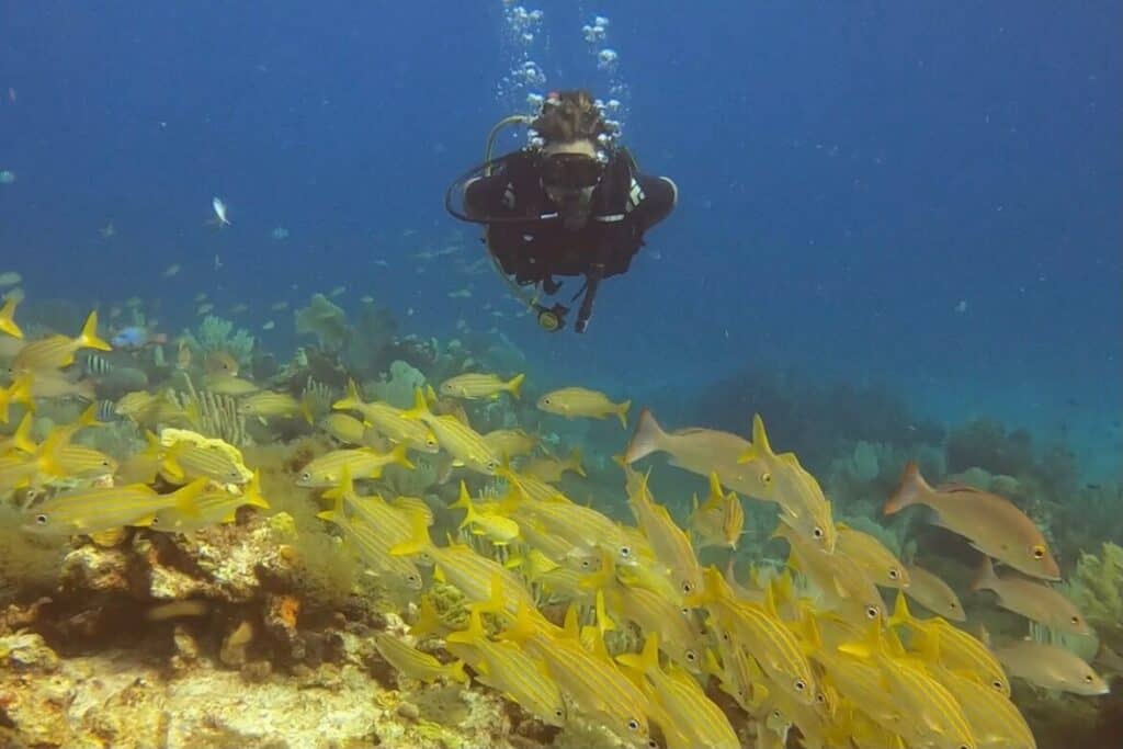 scuba diving isla mujeres