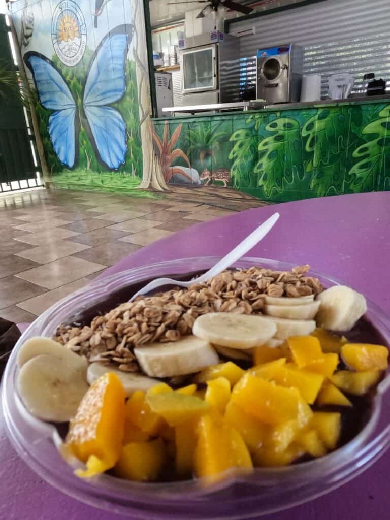 tropical fruits on nicoya peninsula