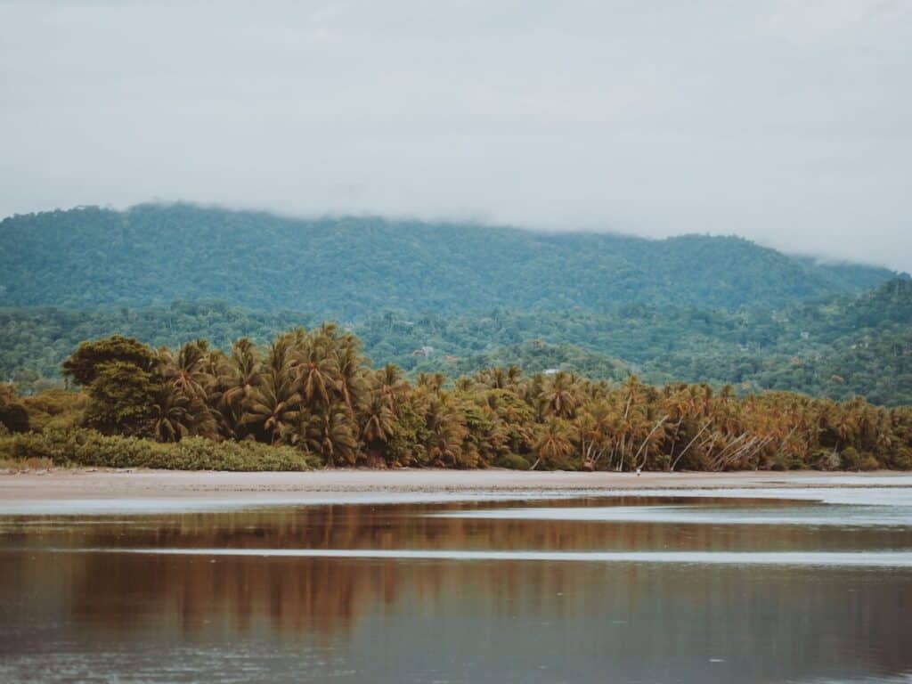 puerto viejo
