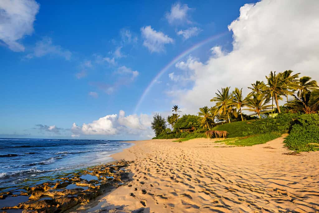 Oahu hawaii sunset beach