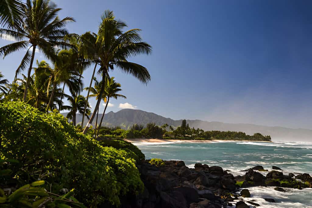 Turtle Beach near Haleiwa - North shore Oahu, Hawaii
