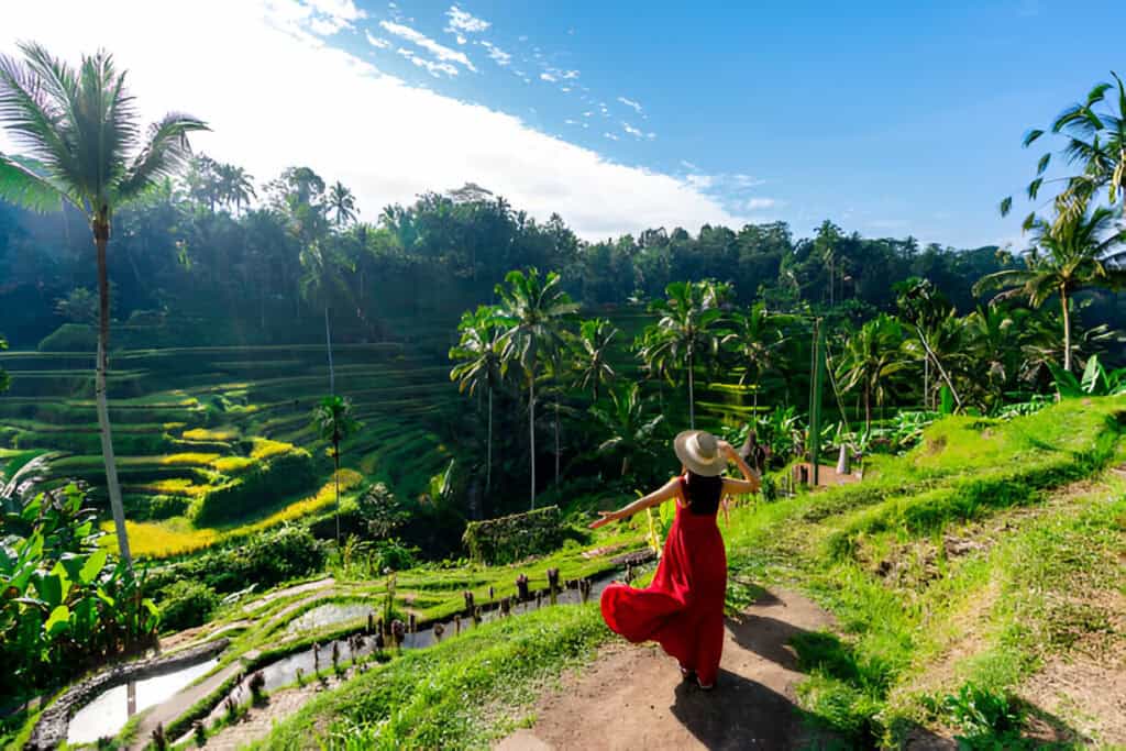 Young female tourist in a red dress gazing at the lush Tegalalang Rice Terrace in Bali, Indonesia, capturing the stunning landscape and cultural beauty of the island.