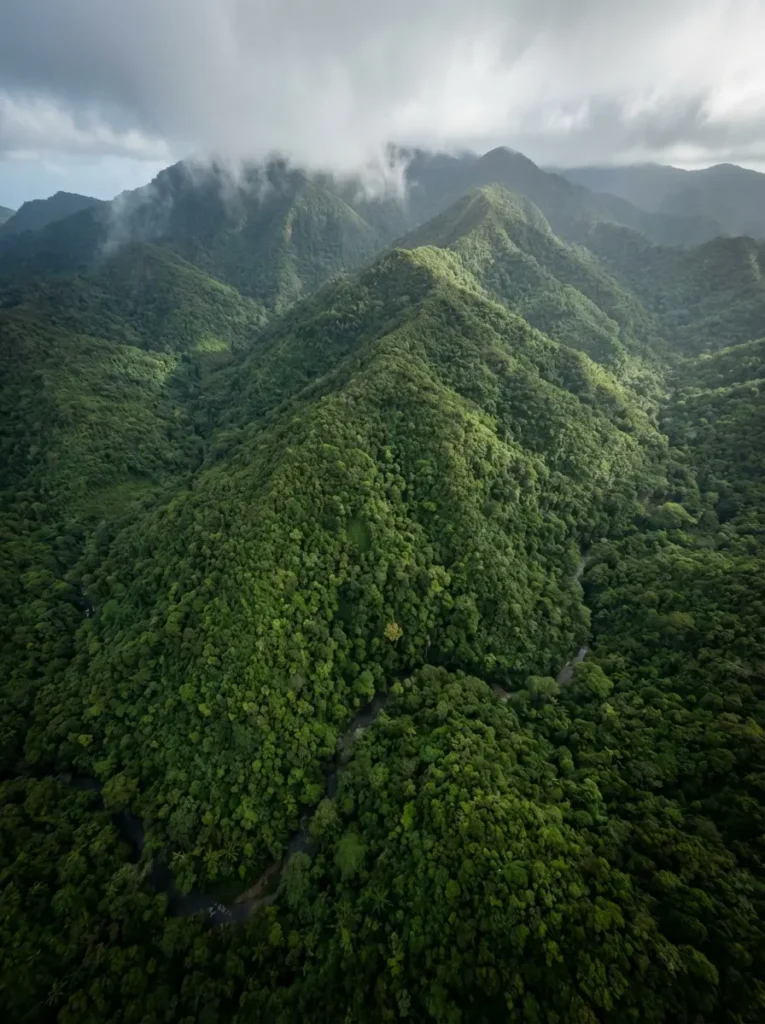 aerial view of El Yunque National Forest Puerto Rico showing vast green rainforest canopy and misty mountains